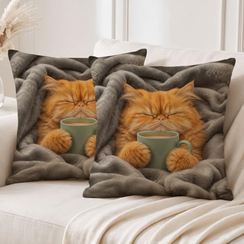 Throw Pillows Fluffy Orange Cat Pillow with Inserts 20x20 Inch