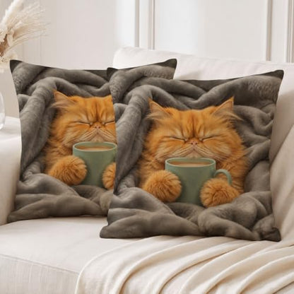 Throw Pillows Fluffy Orange Cat Pillow with Inserts 20x20 Inch