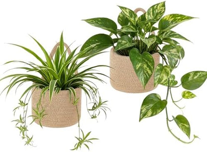 Dahey Over The Door Hanging Basket and 2 Pack Hanging Baskets Set with