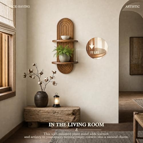 Plant Wall Shelf for Home Decor: Hanging Plant Shelf for Planter