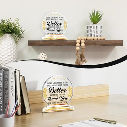 Thank You Appreciation Gifts for Coworkers Employees Desk Decor