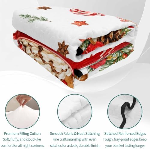 Christmas Quilt Set Twin Size 3 Pieces Quilted Bedspread Soft