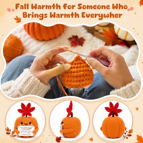 Positive Crochet Pumpkin Boss Day Thank You Gifts for Women Men Fall