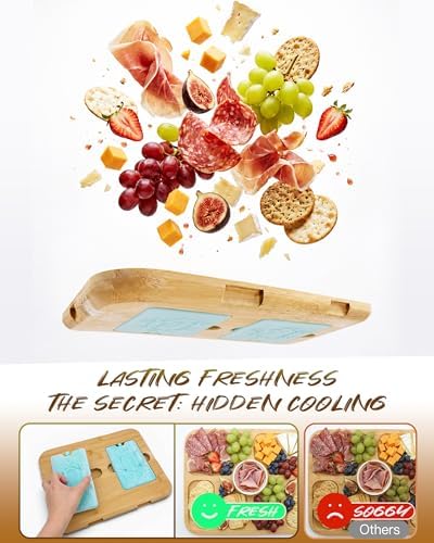 Charcuterie Board with Lid & 2 Ice Pack, Upgraded 6 Snap Laches, Sauce