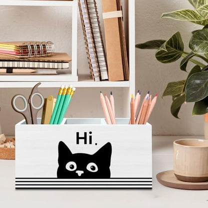 DILSJ Funny Black Cat Pen Pencil Holder Organizer for Desk, Black Cat