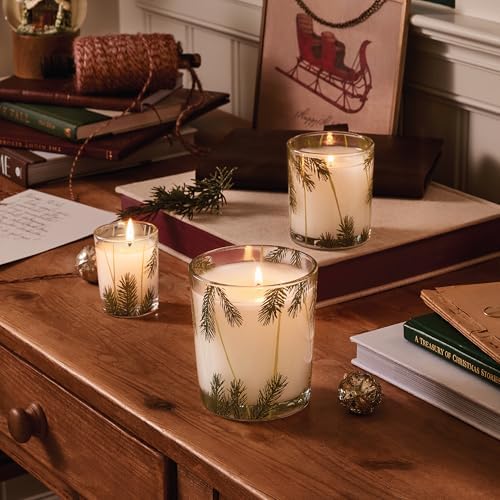 Thymes Frasier Fir Pine Needle Candle – Holiday Candles for Home