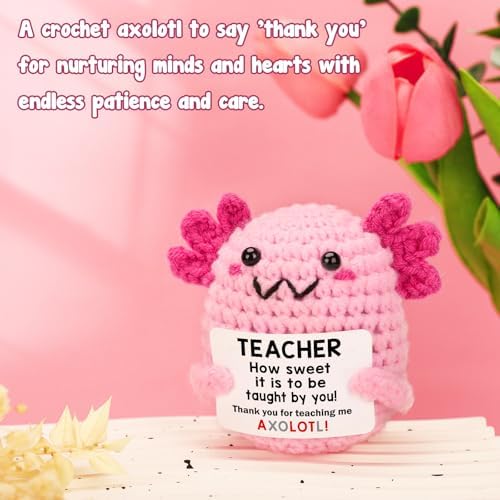 Teacher Appreciation Gifts for Women Teachers, Handmade Crochet