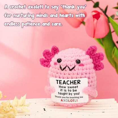 Teacher Appreciation Gifts for Women Teachers, Handmade Crochet