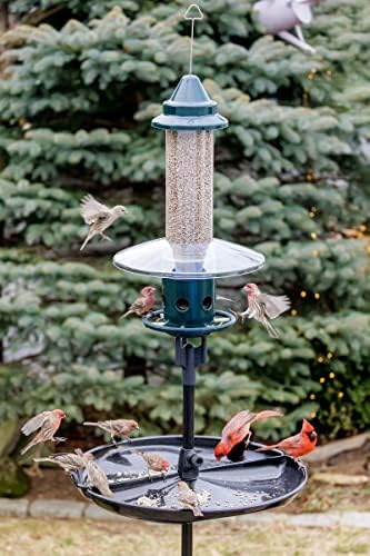 Squirrel Buster Plus Squirrel-proof Bird Feeder w/Cardinal Ring and 6