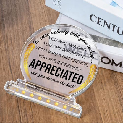 Appreciation Gifts Thank You Award Desk Decor for Coworkers Boss