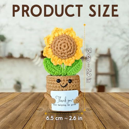 Mini Sunflower Teacher Appreciation Gifts, Thank You Gift for Teacher