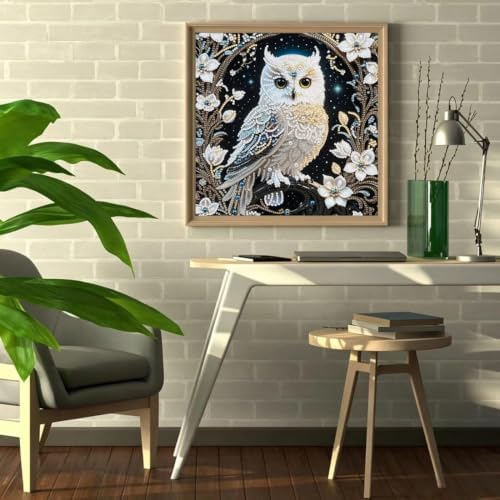 Owl Special Shape Diamond Painting Kits for Adults DIY crafts 12 x