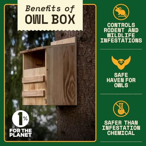 WildYard Barn Owl Nesting Box - Large, Cedar, Preassembled, Easy-Hang