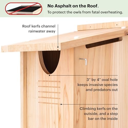 WHITEHORSE Large Cedar Owl House - Premium and Weatherproof Design
