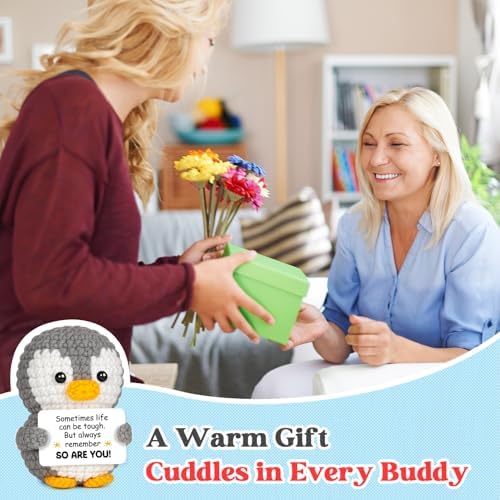 Positive Emotional Support Crochet Penguin Gift - Get Well Gifts for