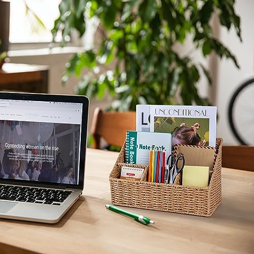 DINGTAI Rattan Desk Organizer, Tabletop Mail Holder, 5 Slot Mail