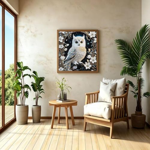 Owl Special Shape Diamond Painting Kits for Adults DIY crafts 12 x