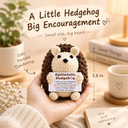 Mini Cute Hedgehog Gifts, Best Friend Friendship Gifts for Women Men