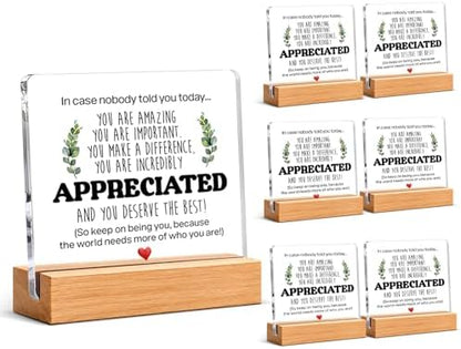 Thank You & Appreciation Gifts Bulk for Coworkers Friends, Set of 6