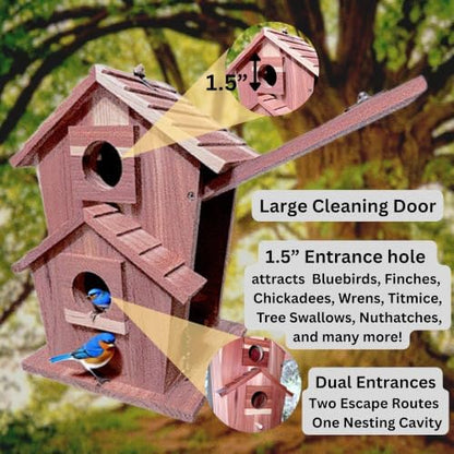 Cedar Bird House for Outside, Wooden Birdhouse for Outdoors, Bluebird