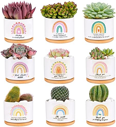 Kolewo4ever 9 Pieces Teacher Appreciation Gifts Ceramic Succulent