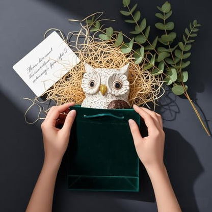 MUAMAX Owl Pen Holder, Owl Pencil Holder for Desk, Makeup Brush Holder