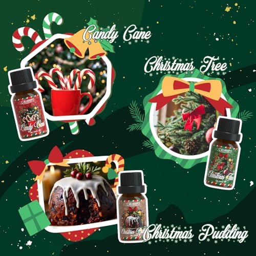 SALUBRITO Christmas Fragrance Oils Set, Winter Essential Oils for