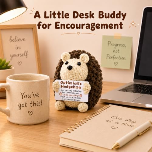 Mini Cute Hedgehog Gifts, Best Friend Friendship Gifts for Women Men