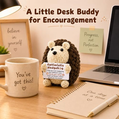 Mini Cute Hedgehog Gifts, Best Friend Friendship Gifts for Women Men