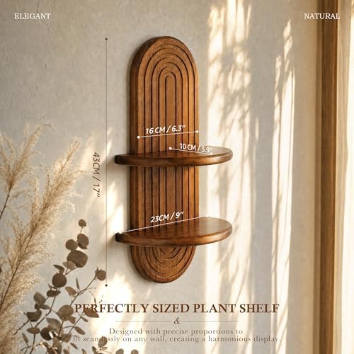 Plant Wall Shelf for Home Decor: Hanging Plant Shelf for Planter