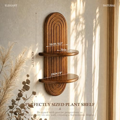 Plant Wall Shelf for Home Decor: Hanging Plant Shelf for Planter