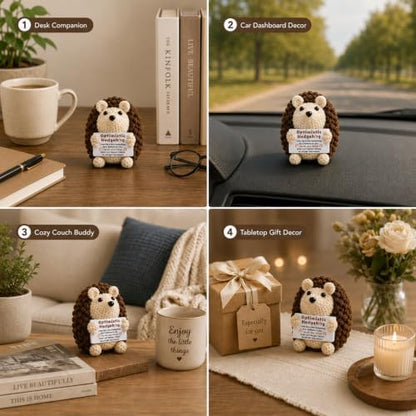 Mini Cute Hedgehog Gifts, Best Friend Friendship Gifts for Women Men