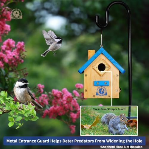 SISTERBIRD Birdhouses for Outdoors, Blue Hanging Wren House, Warming