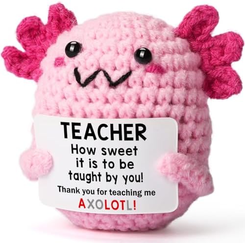 Teacher Appreciation Gifts for Women Teachers, Handmade Crochet