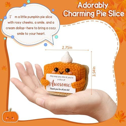 Crochet Pumpkin Pie – Fall Decor Handmade Knitted Mini Thank You Gift