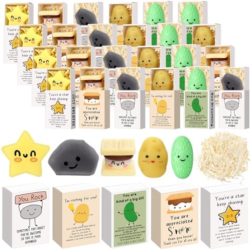 25 Sets Appreciation Gifts for Coworkers Employees Staff Mixed 5