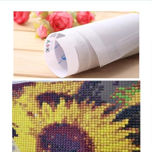 MOMDEDP Beauty Diamond Painting Kits for Adults,Owl Diamond Art Kits
