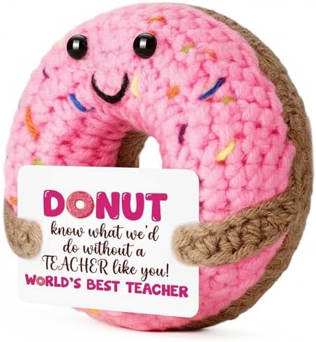 Crochet Donut Gift for Teacher, Inspirational Thank You Present with