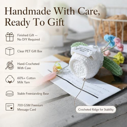 Forget-Me-Not Crochet Flower Potted Plant Gift