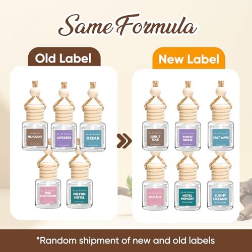 AROIC 6Pack Car Air Freshener, Hanging Essential Oil Air Freshener
