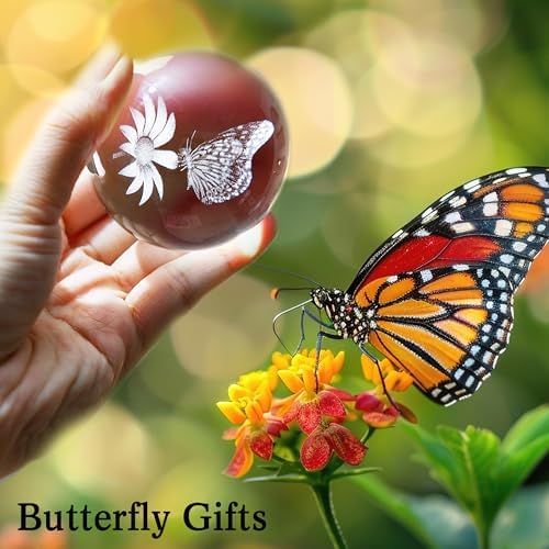 IFOLAINA 3D Butterfly Crystal Ball Gifts Ideas for Girlfriend Wife Mom