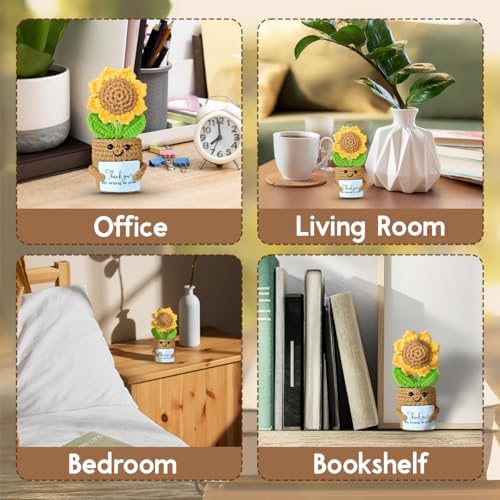 Mini Sunflower Teacher Appreciation Gifts, Thank You Gift for Teacher