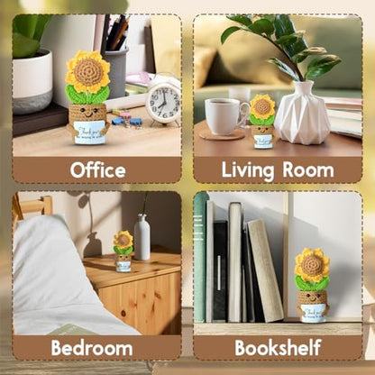 Mini Sunflower Teacher Appreciation Gifts, Thank You Gift for Teacher