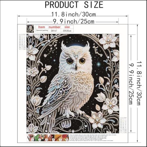 Owl Special Shape Diamond Painting Kits for Adults DIY crafts 12 x