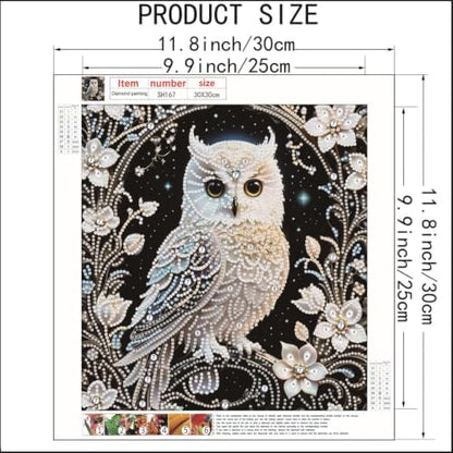 Owl Special Shape Diamond Painting Kits for Adults DIY crafts 12 x