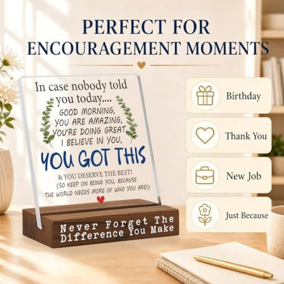 You Got This Desk Sign, Encouragement Gift for Women, Inspirational