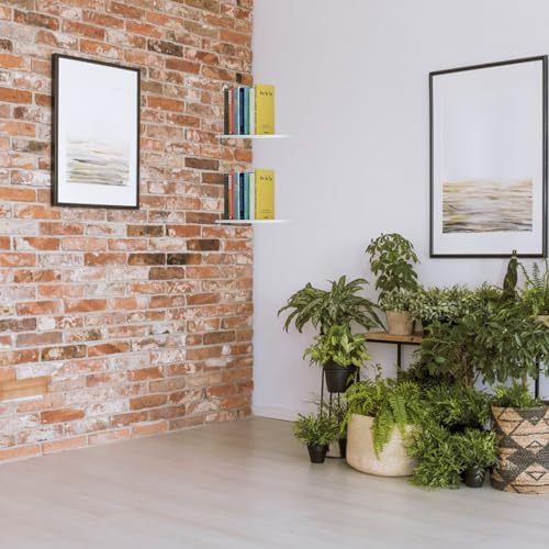 3pcs White Floating Corner Shelves Wood Wall Rack for Plants and Keys