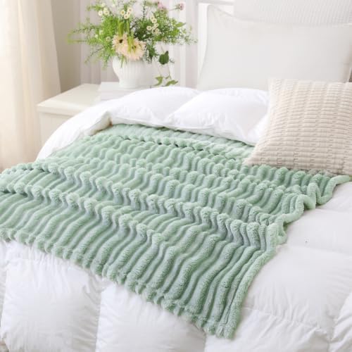 Puncuntex Sage Green Soft Throw Blanket 50"×60" for Couch Cozy 3D