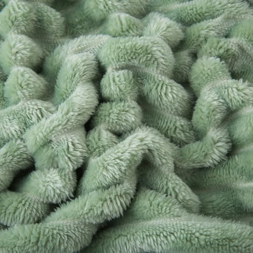 Sage Green Fleece Throw Blanket 50”×60” for Couch Sofa Livingroom