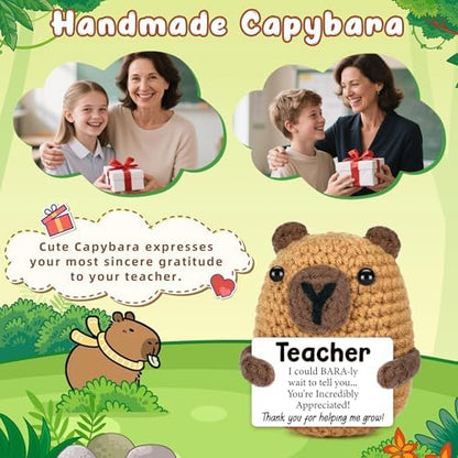 Teacher Gifts for Men Women, Halloween Capybara Teacher Gifts from